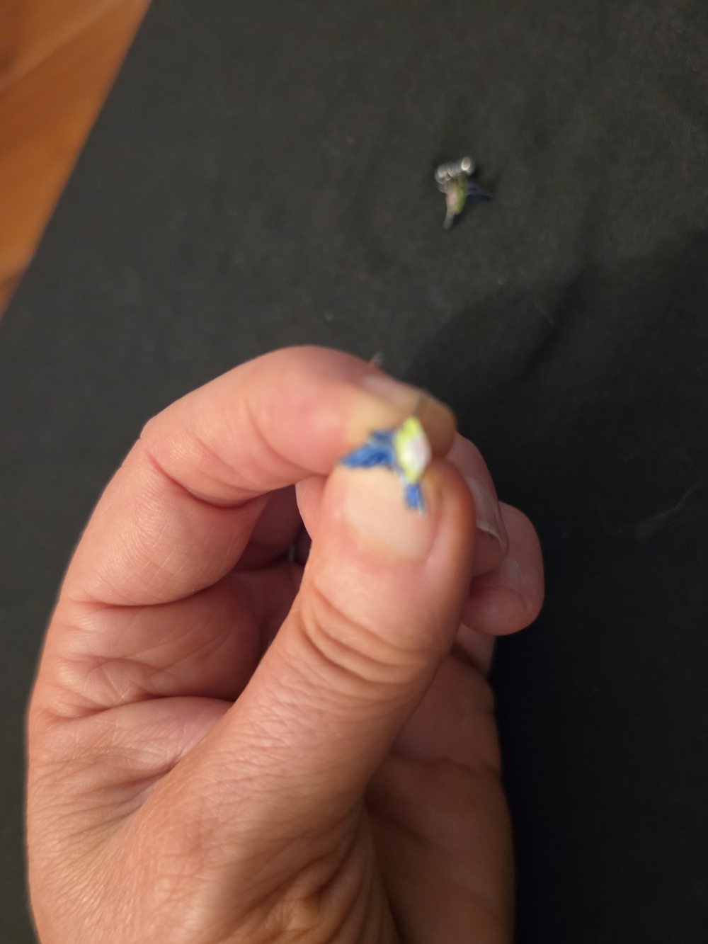 Blue and Lime Tiny Bird Stud Earrings
